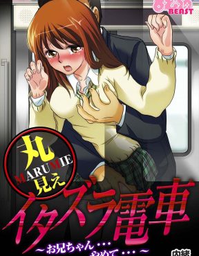 【エロ漫画】わざわざ痴漢で有名な電車に乗って痴漢されてうっとりしていた妹を見て逆上したシスコン兄が妹に痴漢してしまうｗ