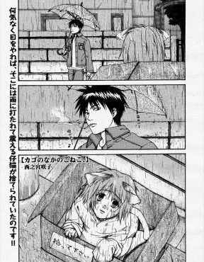 【エロ漫画】かわいい捨て猫に懐かれ連れ帰った男が、ベッドに潜り込んできた捨て猫にフェラをされ起こされ中出しセックスでおしおきしたったｗ